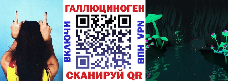 Купить закладки  Электросталь  Псилоцибиновые грибы MAGIC MUSHROOMS 